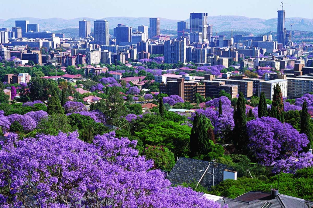 South Africa with NTA Holidays