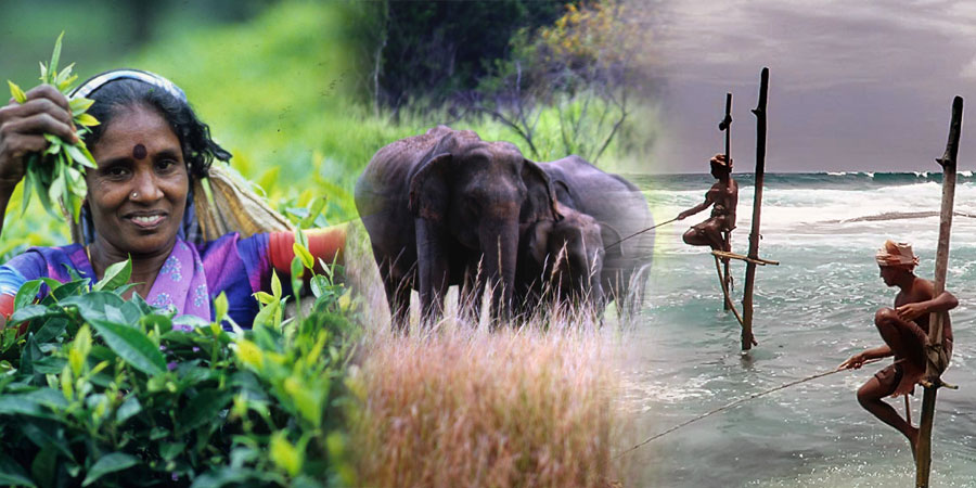 sri-lanka-tour-package-with-nta-holidays-pune
